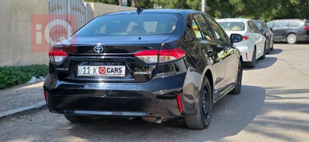 تويوتا كورولا